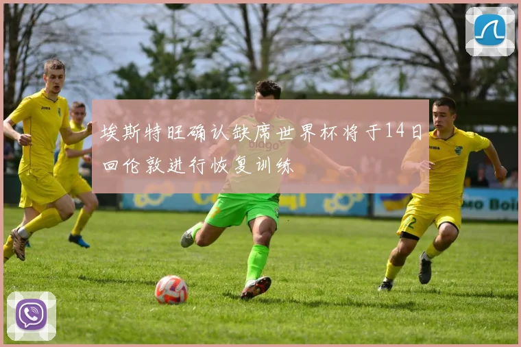 埃斯特旺确认缺席世界杯将于14日回伦敦进行恢复训练