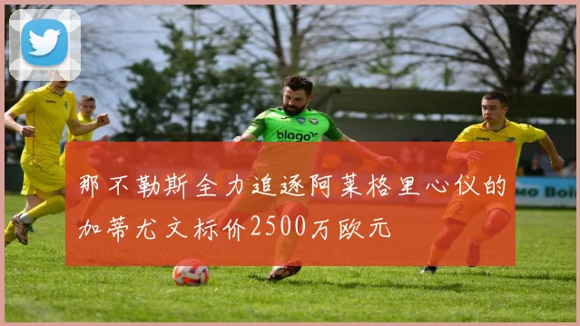 那不勒斯全力追逐阿莱格里心仪的加蒂尤文标价2500万欧元