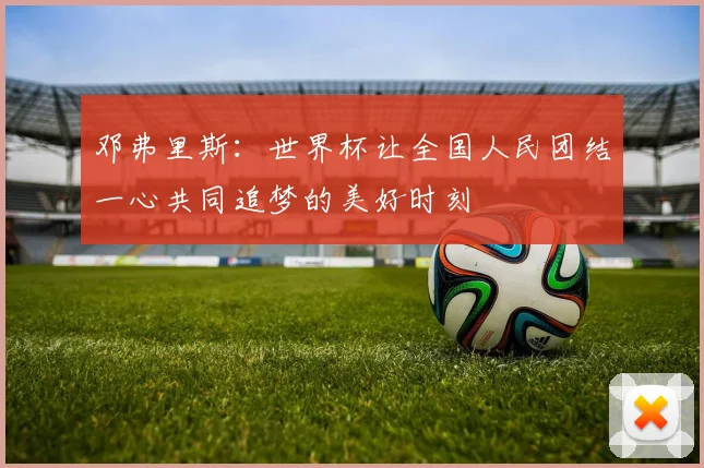 邓弗里斯：世界杯让全国人民团结一心共同追梦的美好时刻