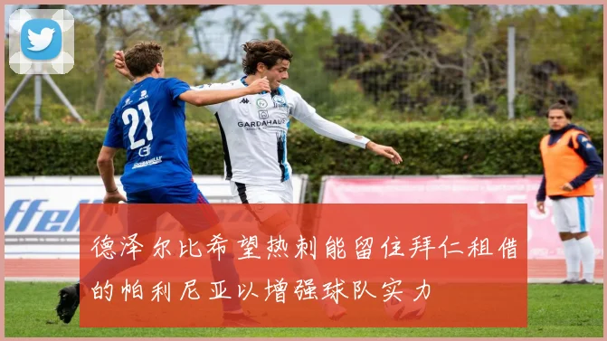 德泽尔比希望热刺能留住拜仁租借的帕利尼亚以增强球队实力